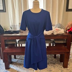 Elegant Royal Blue Tie-Waist Women’s Dress